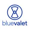 Logo Blue Valet
